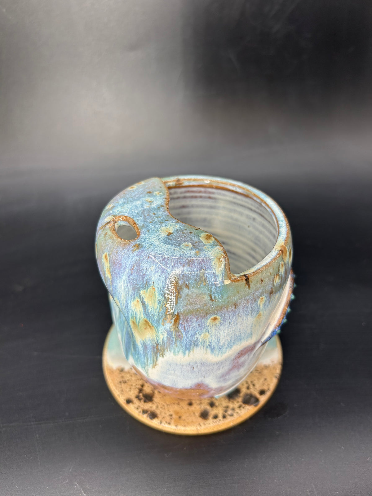 Whale shark keep cup