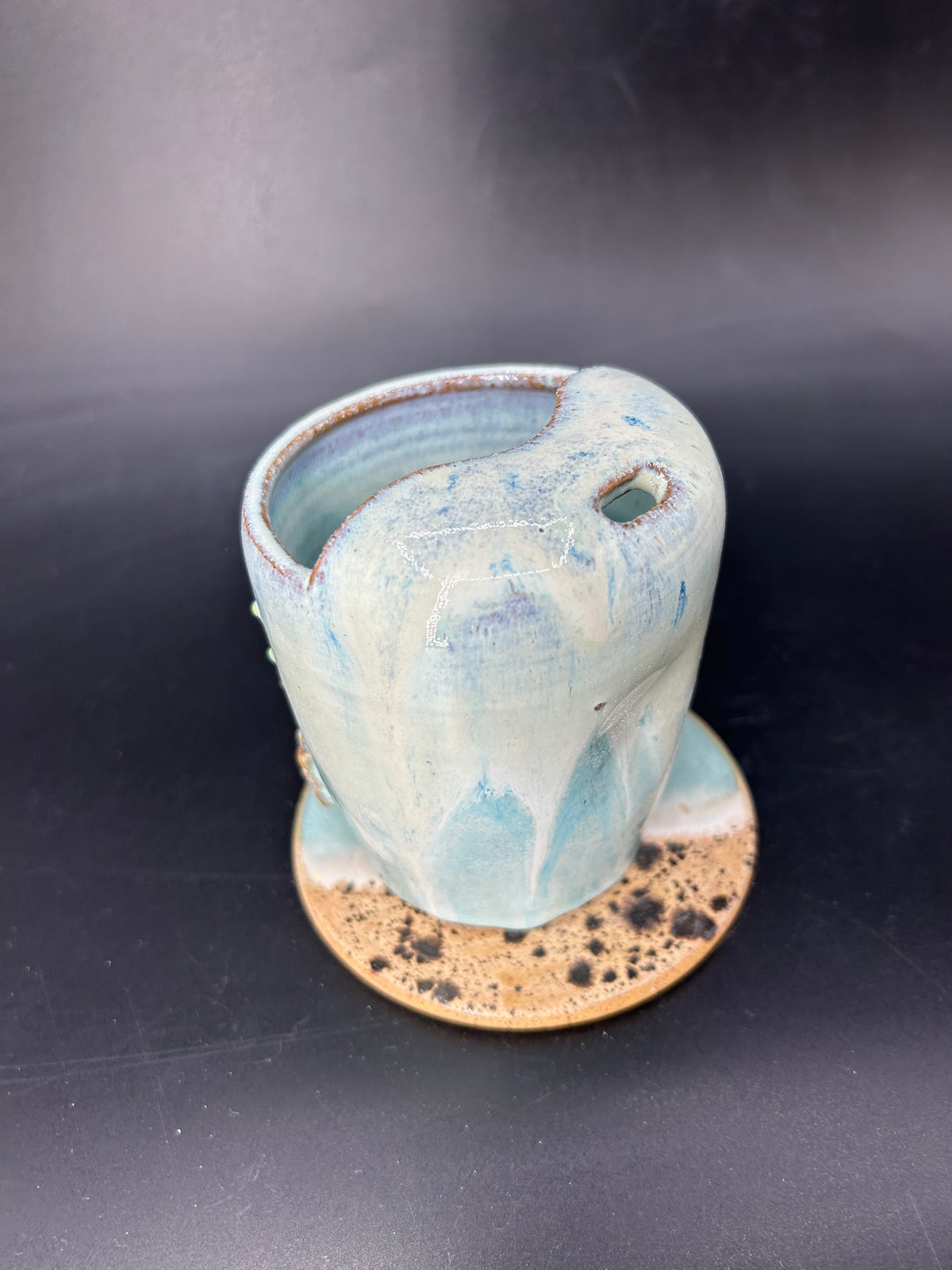 Whale shark keep cup