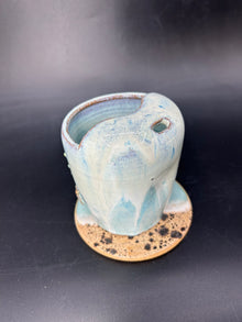 Whale shark keep cup