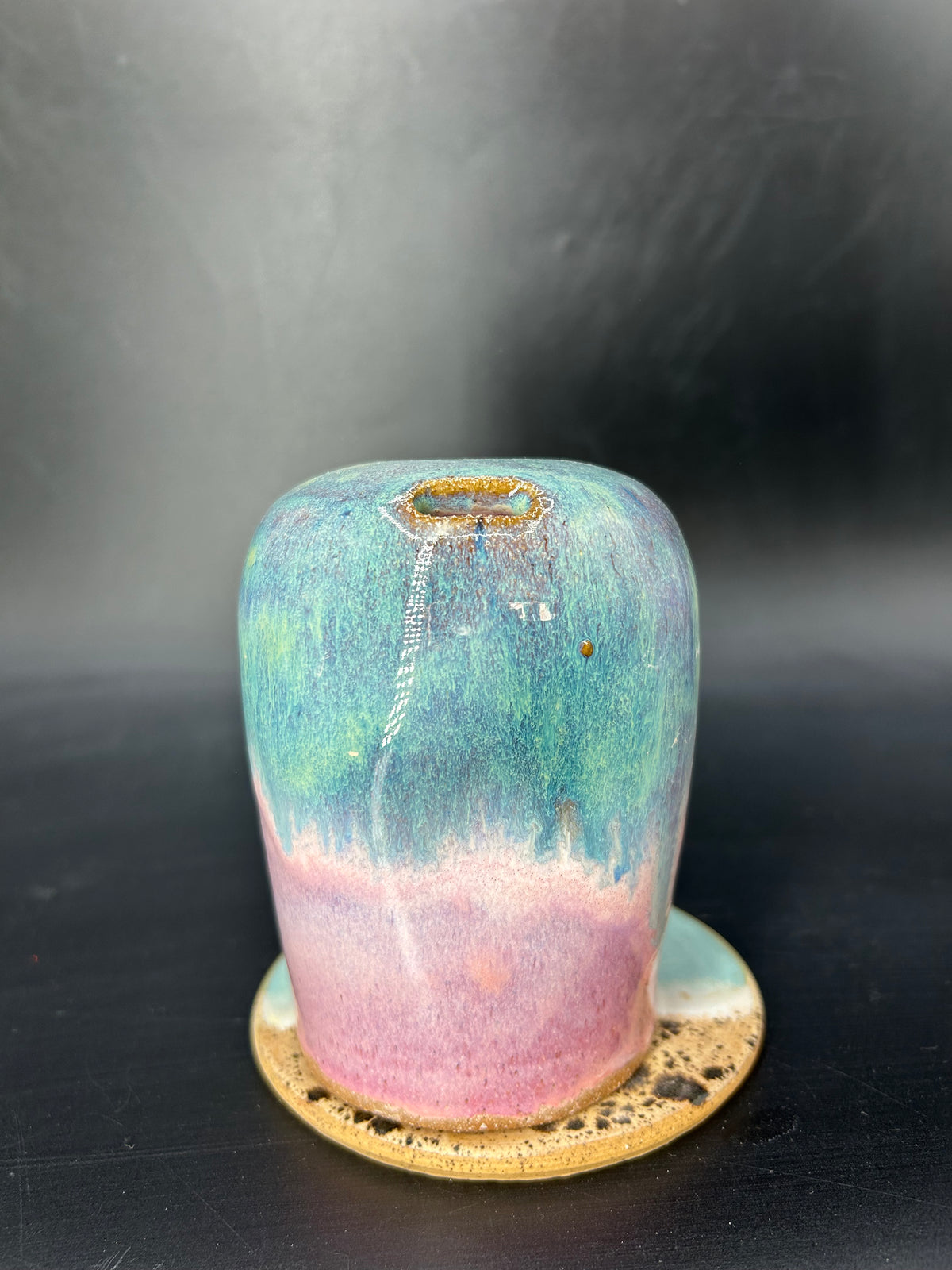 Whale shark keep cup