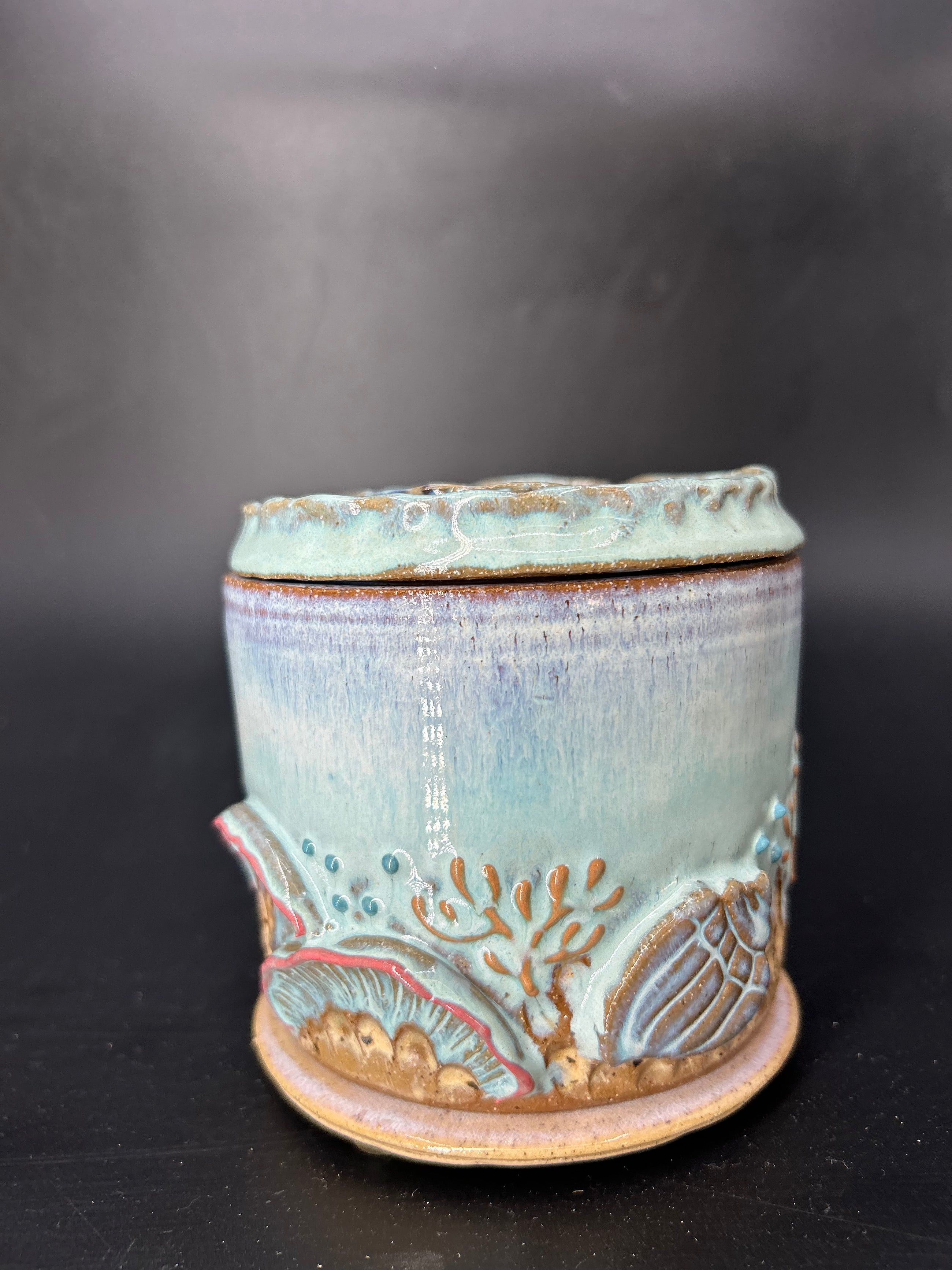 WRAP AROUND CORAL - BUTTERBELL