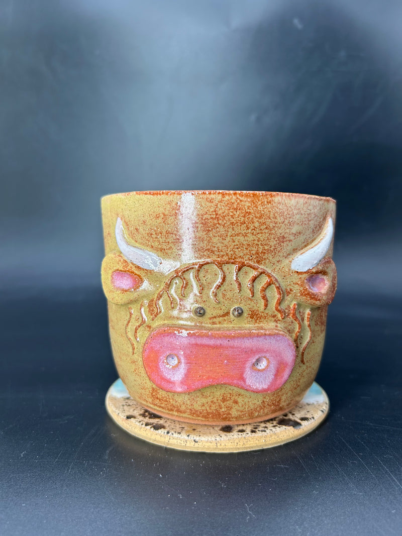 Highland cow CANISTER - no lid