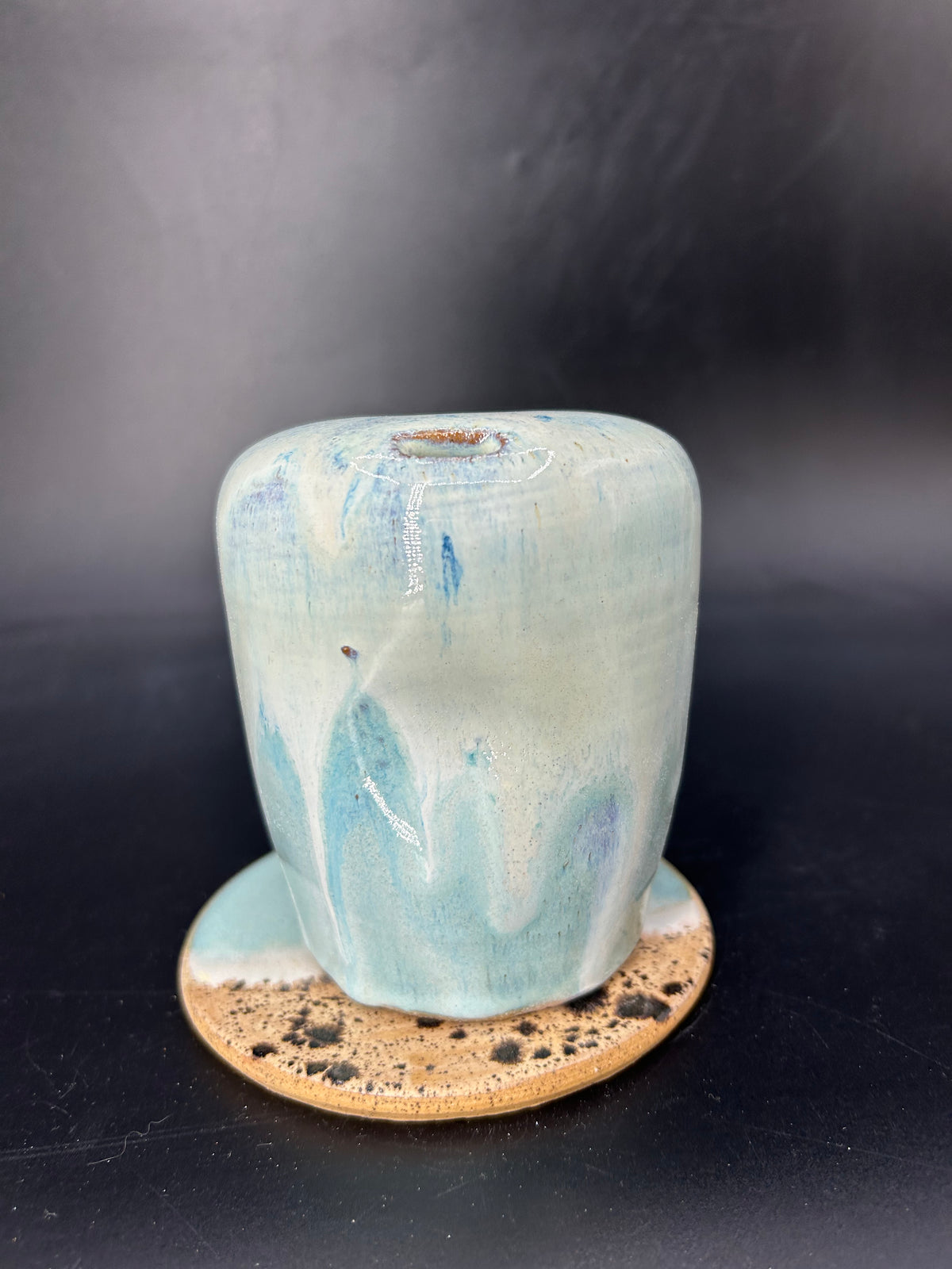 Whale shark keep cup