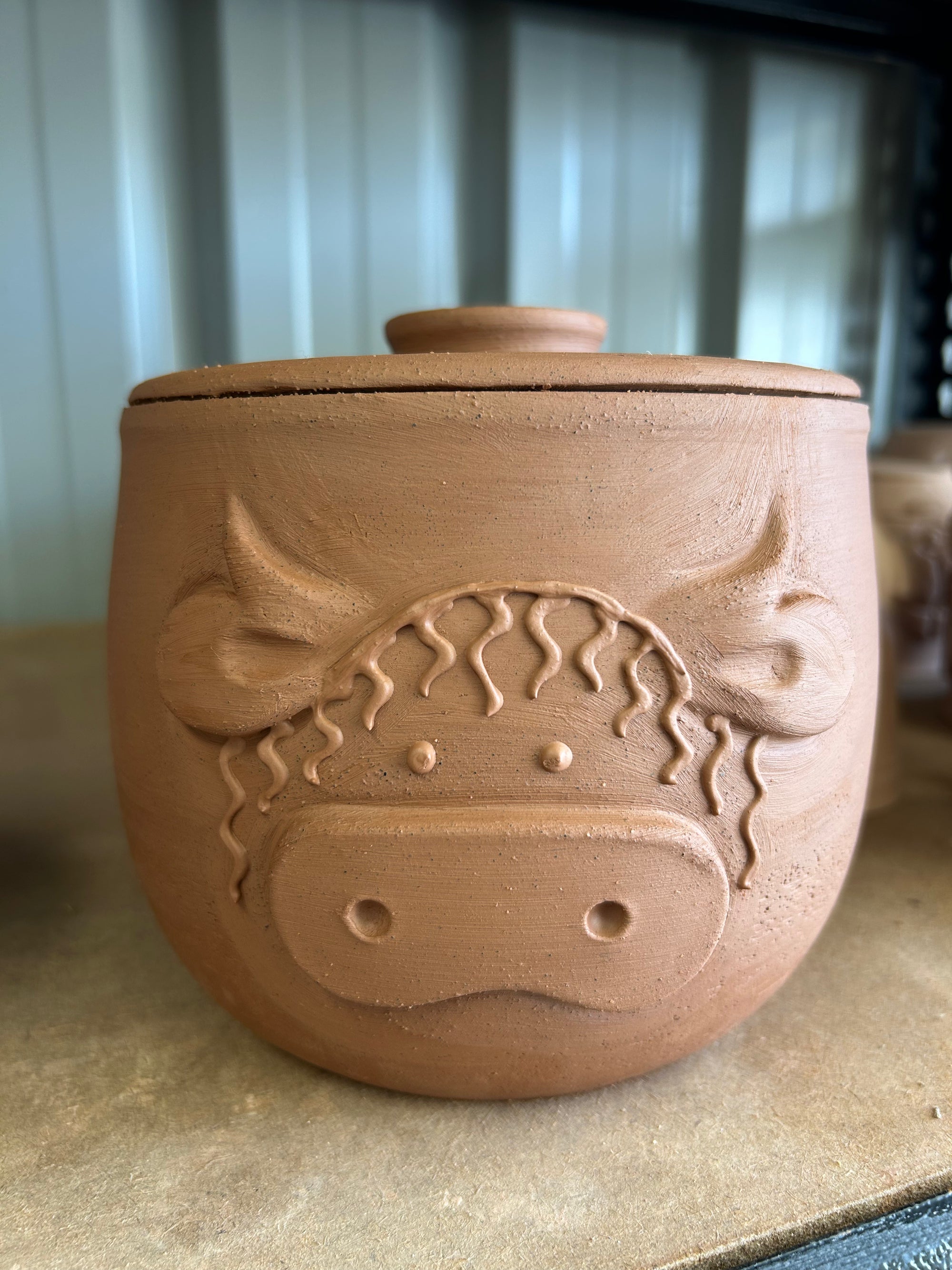 Highland laundry canister